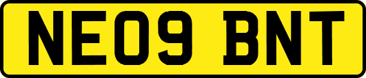 NE09BNT