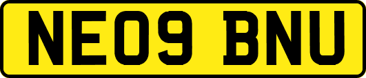 NE09BNU