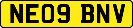 NE09BNV