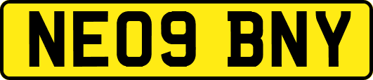 NE09BNY