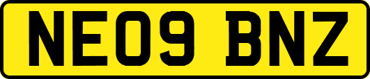 NE09BNZ