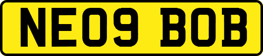 NE09BOB