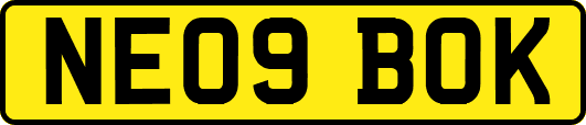 NE09BOK