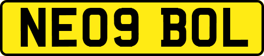NE09BOL