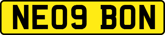 NE09BON