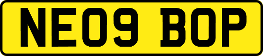 NE09BOP