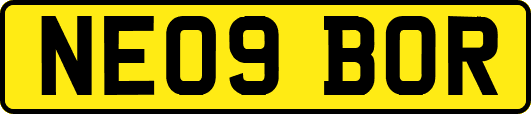 NE09BOR