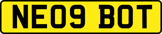 NE09BOT
