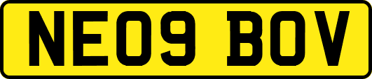 NE09BOV