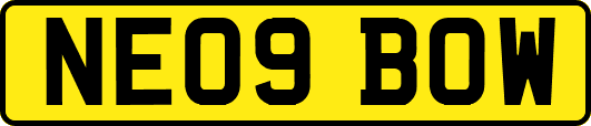 NE09BOW