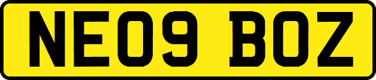 NE09BOZ