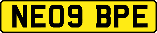 NE09BPE