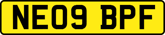 NE09BPF