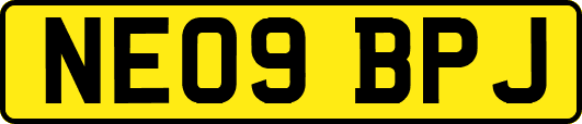 NE09BPJ