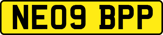 NE09BPP