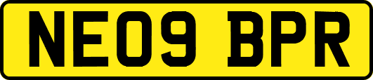 NE09BPR
