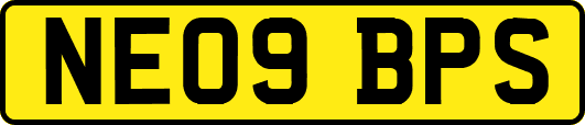 NE09BPS