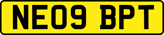 NE09BPT