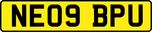 NE09BPU