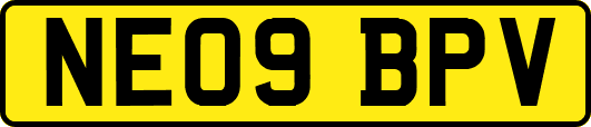 NE09BPV