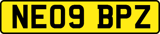 NE09BPZ