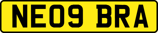 NE09BRA