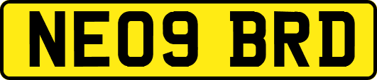 NE09BRD