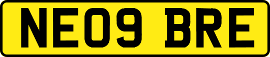 NE09BRE