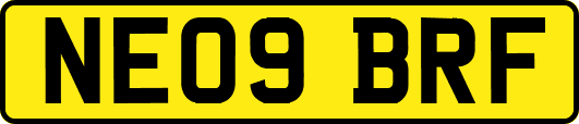 NE09BRF