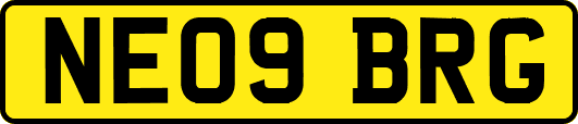 NE09BRG