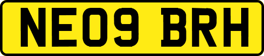 NE09BRH