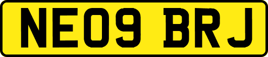 NE09BRJ
