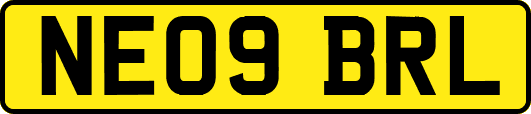 NE09BRL
