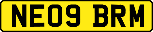 NE09BRM