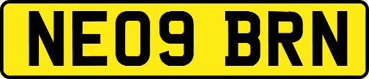 NE09BRN