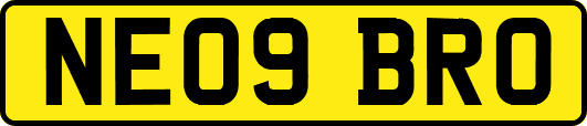 NE09BRO
