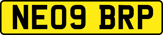 NE09BRP