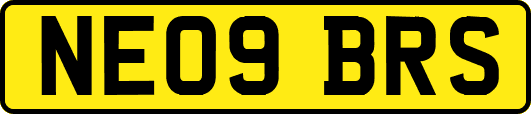 NE09BRS