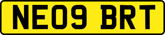NE09BRT
