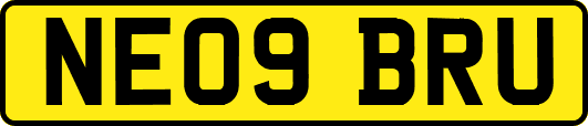 NE09BRU