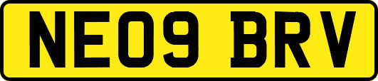 NE09BRV