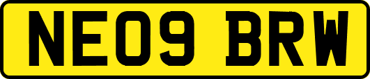 NE09BRW