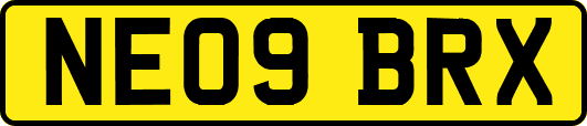 NE09BRX