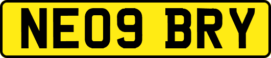 NE09BRY