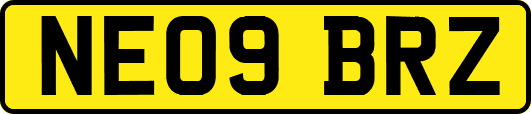 NE09BRZ