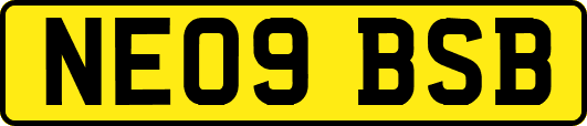 NE09BSB