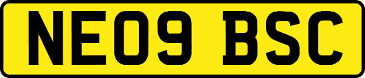 NE09BSC