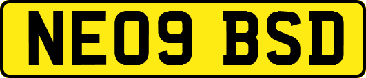 NE09BSD