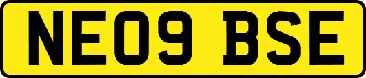 NE09BSE