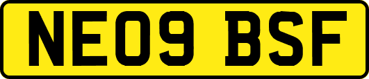 NE09BSF